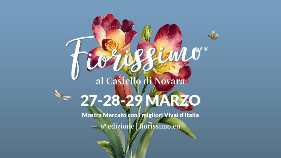 Novara, nel fine settimana appuntamento con 